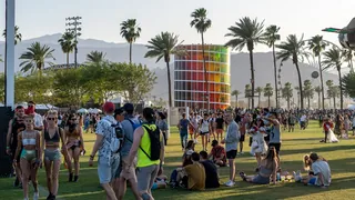 Festivalgoers on the grass at Coachella in 2018, palm trees and desert mountains behind them